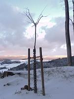                                 11. Dezember 2011 - ein Wintersamstag bei Samuel
